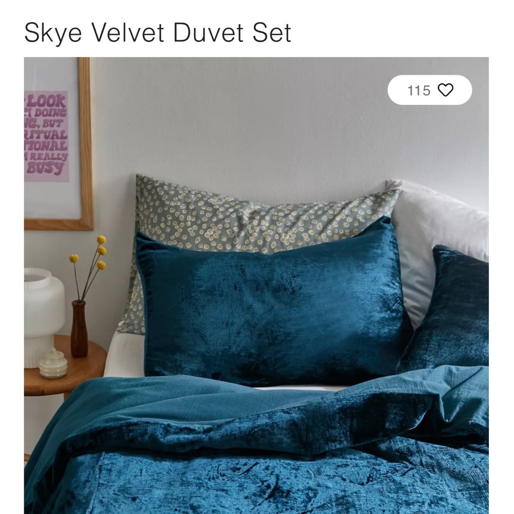 Skye Velvet TwinXL comforter cover Urban Outiftters!